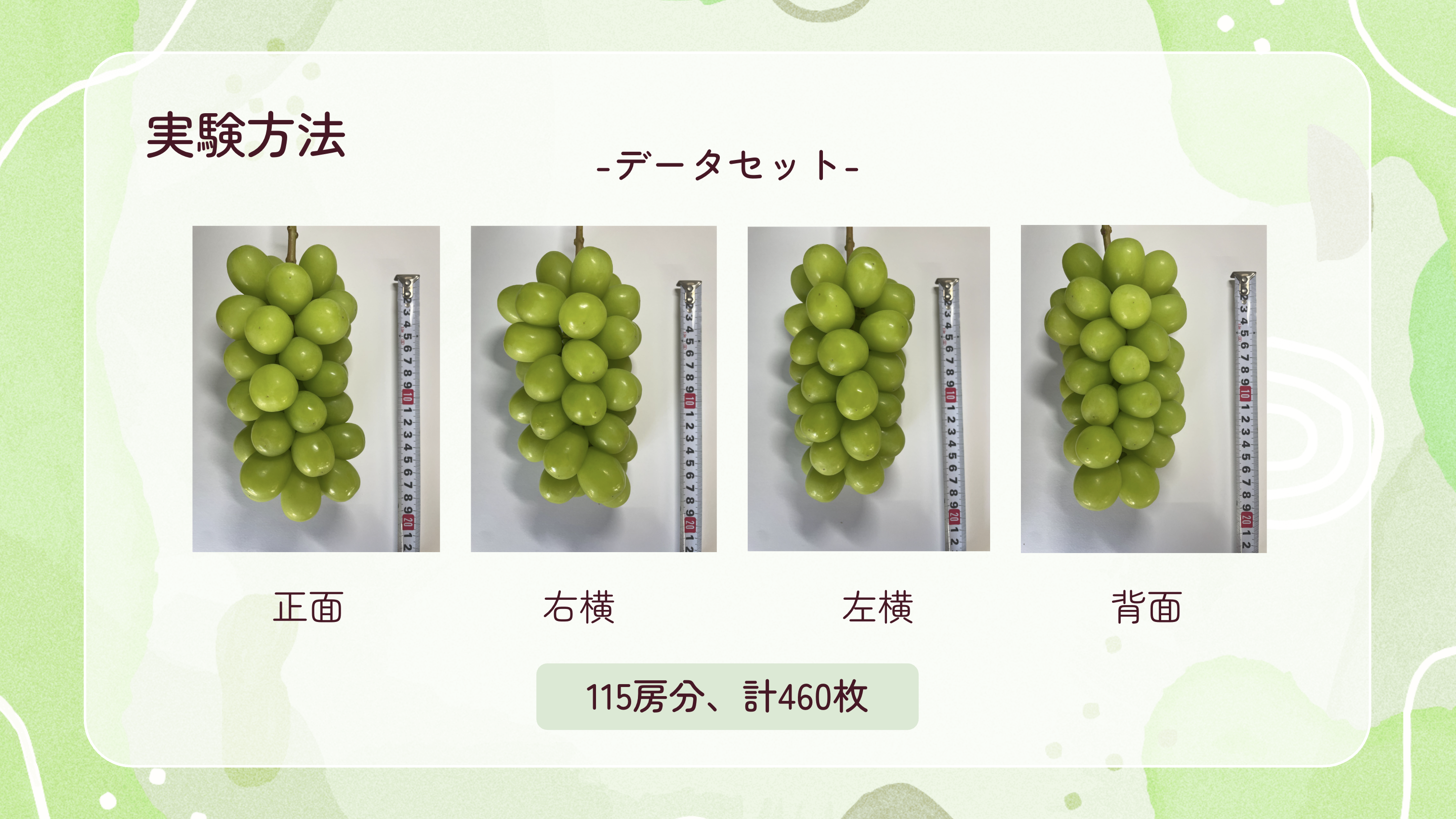 2024年度 卒業研究発表会